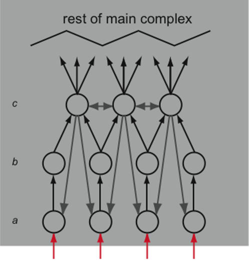 Figure 18