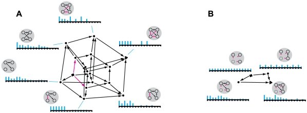 Figure 21