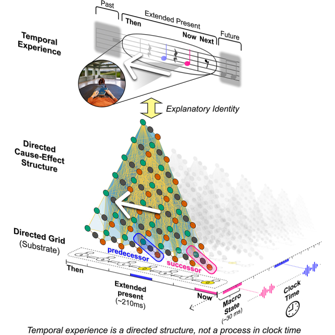 Graphical abstract