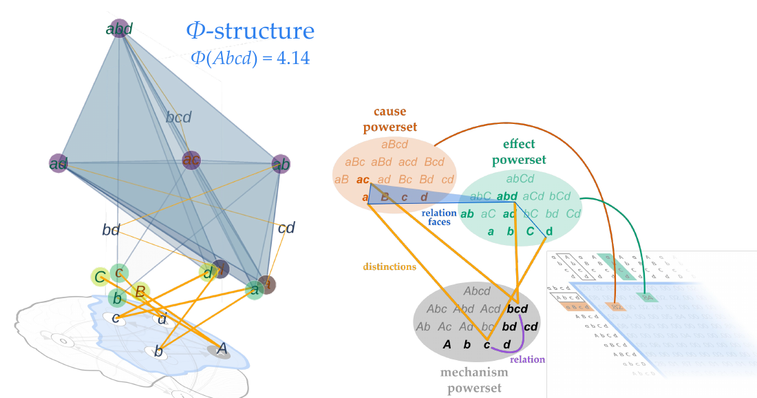 Slide 1: the Φ-structure of complex Abcd rising above the brain, with the powersets of mechanisms, causes and effects
