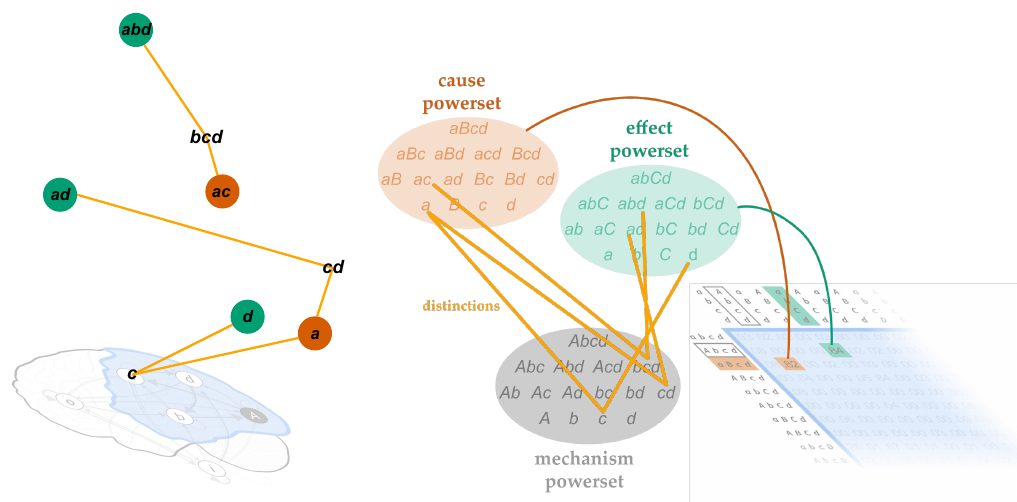 Slide 24: three distinctions (c, cd and bcd) in the Φ-structure and in the powersets
