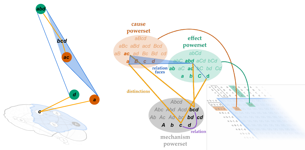 Slide 39: the relation between distinctions c and bcd, with its edges and its triangular face
