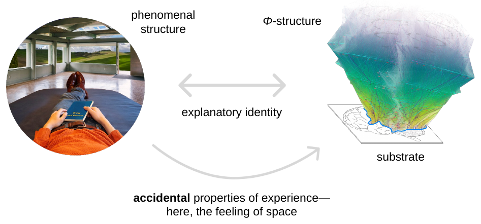 Slide 4: the IIT method, with the phenomenal structure and the Φ-structure joined by the explanatory identity, applied to the accidental properties of experience
