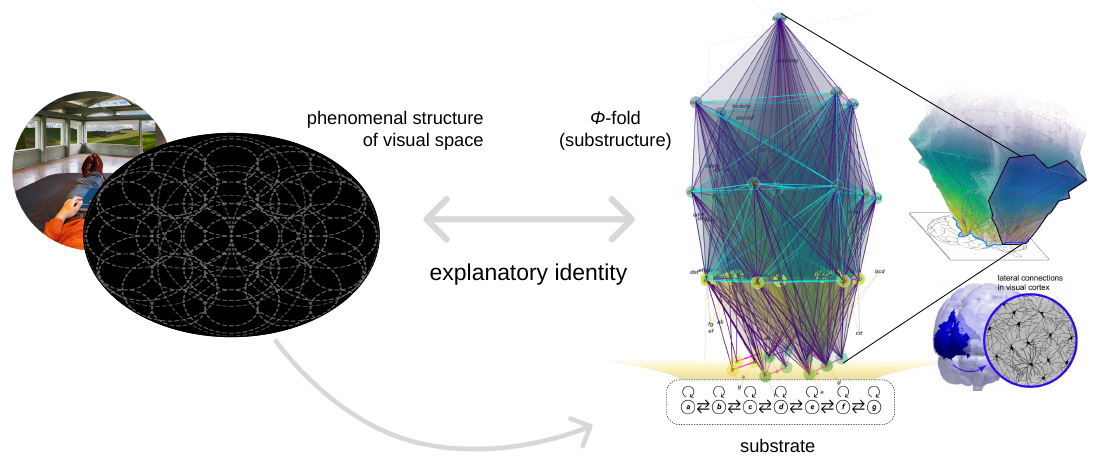 Slide 11: the phenomenal structure of visual space and the Φ-fold unfolded from a 7-unit, 1D grid, joined by the explanatory identity