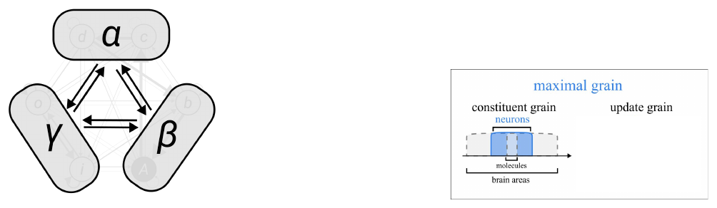 Slide 19: three macro-units α, β and γ formed from pairs of units