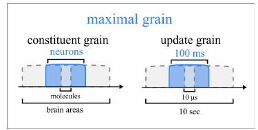 Slide 21: the maximal grain panel, with the constituent grain and the update grain