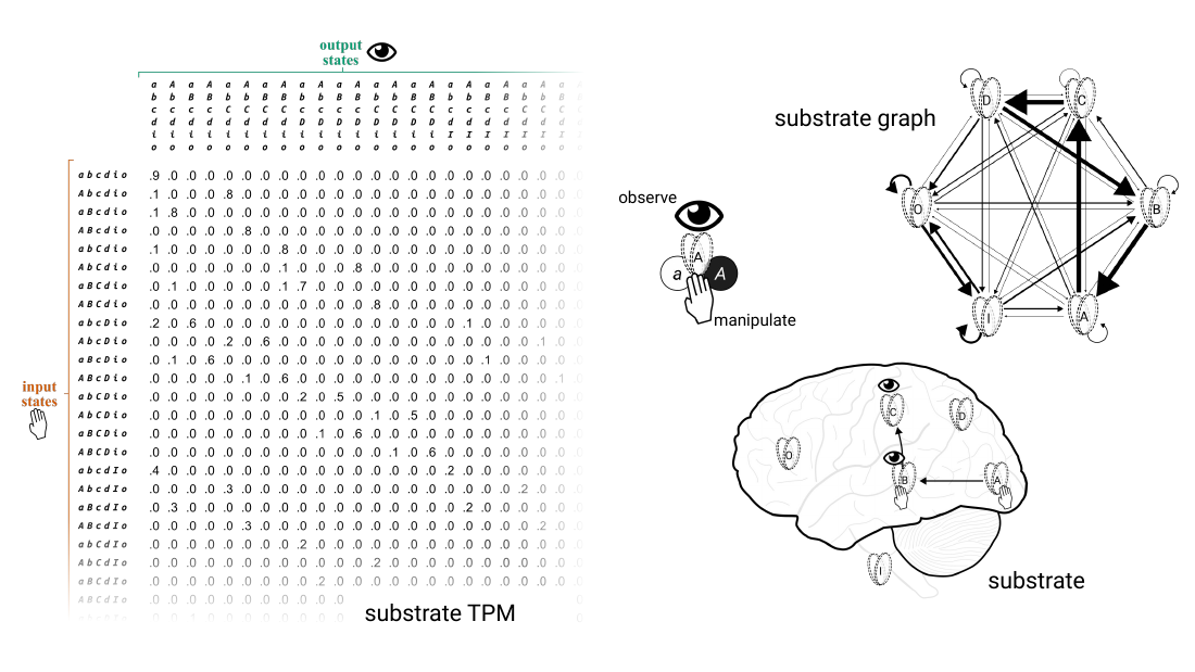 Slide 1: substrate TPM, a unit being observed and manipulated, a substrate graph, and the brain as substrate