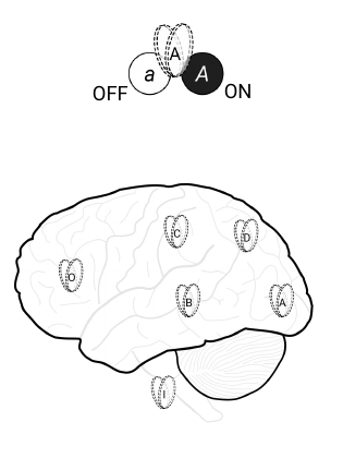 Slide 5: six candidate units on the brain; a unit shown OFF (a) and ON (A)