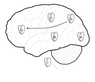 Slide 9: an arrow from D to O on the brain, standing for D's cause–effect power over O