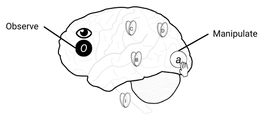 Slide 13: unit A held OFF by manipulation while unit O is observed ON