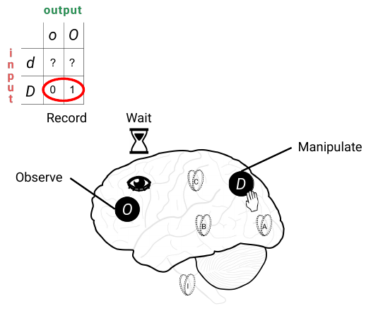 Slide 19: the experiment for the D-to-O TPM, with D set ON and the result recorded