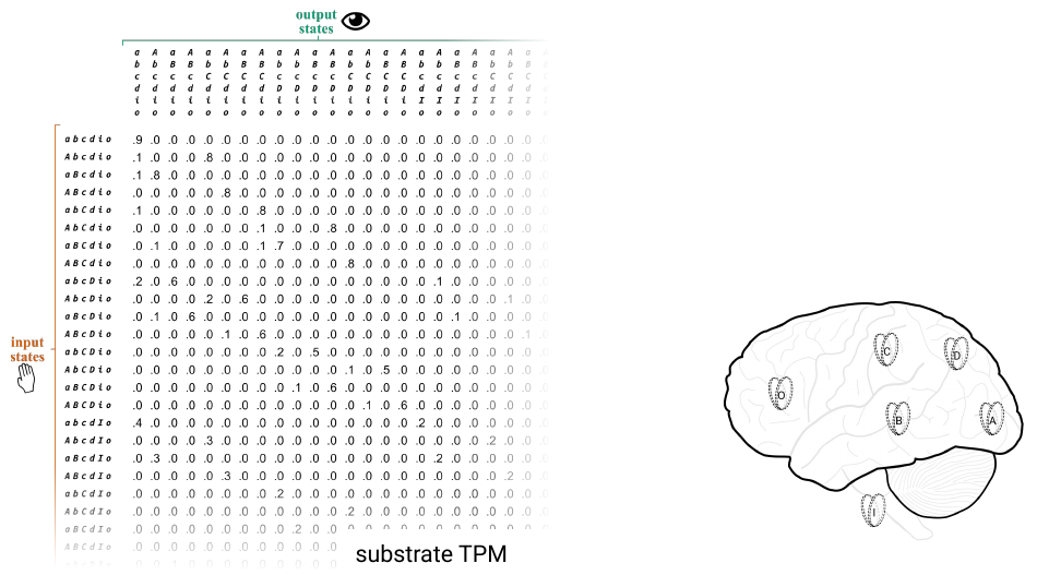 Slide 30: the substrate TPM of all six units