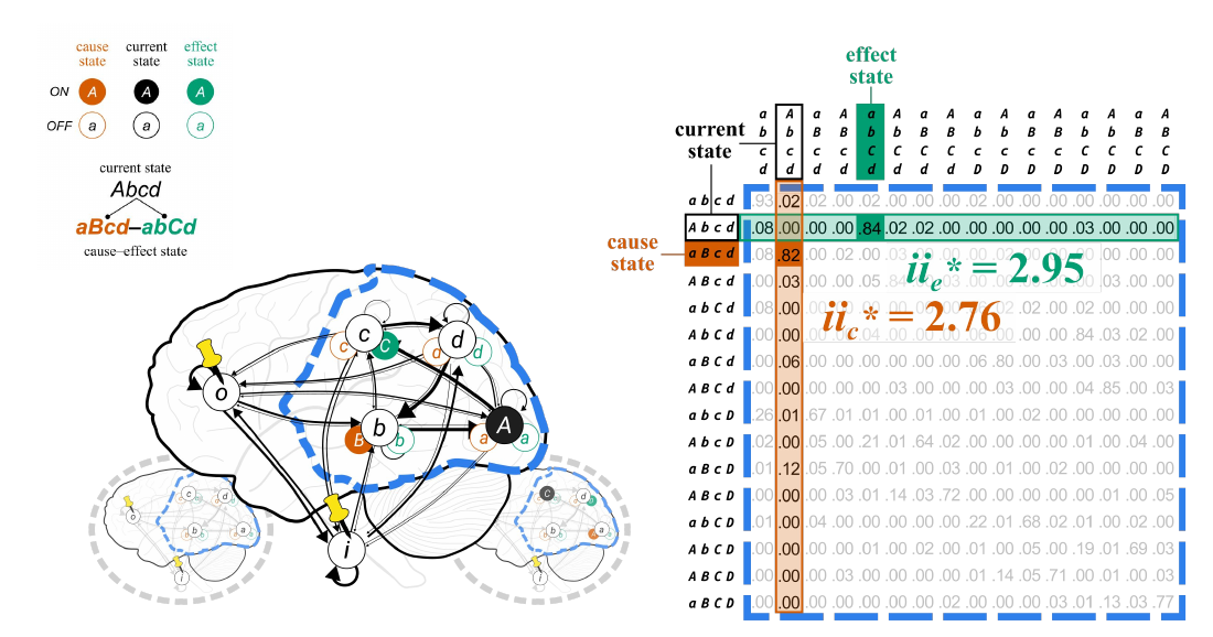 Slide 1: the candidate system in its current state, its cause–effect state, and the TPM entries that maximize intrinsic information