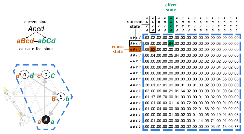 Slide 16: the cause state aBcd and effect state abCd, on the substrate graph and in the TPM