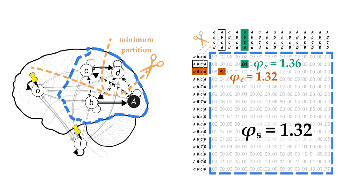 Slide 1: the minimum partition of the candidate system, on the brain and on the TPM, with φc, φe and φs