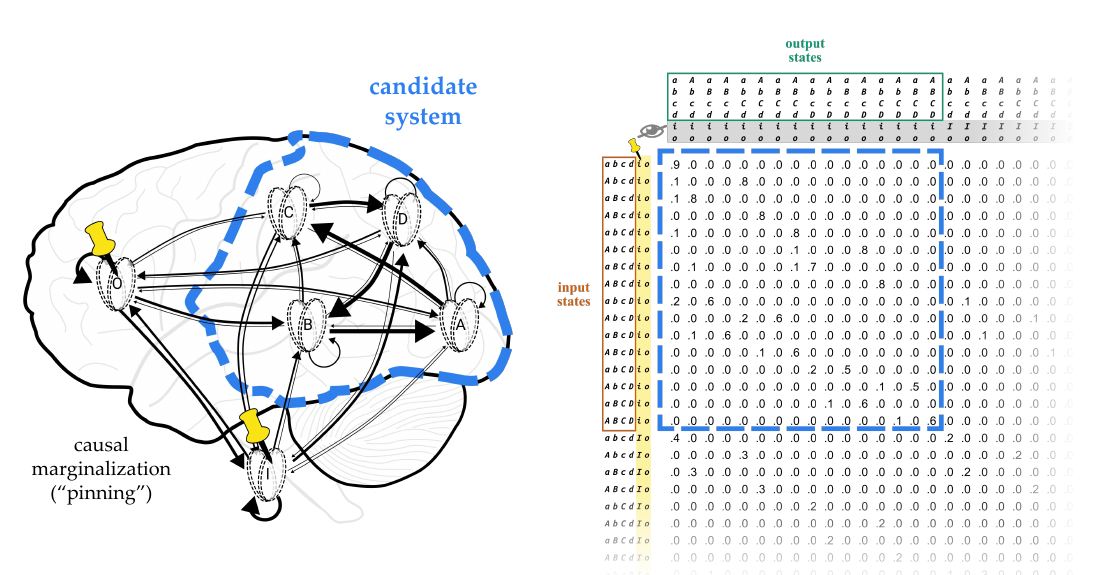 Slide 1: a candidate system isolated on the brain by pinning, and the matching part of the substrate TPM