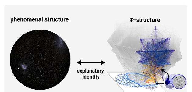 Slide 7: the experience of a starry sky and the Φ-substructure of a grid-like substrate