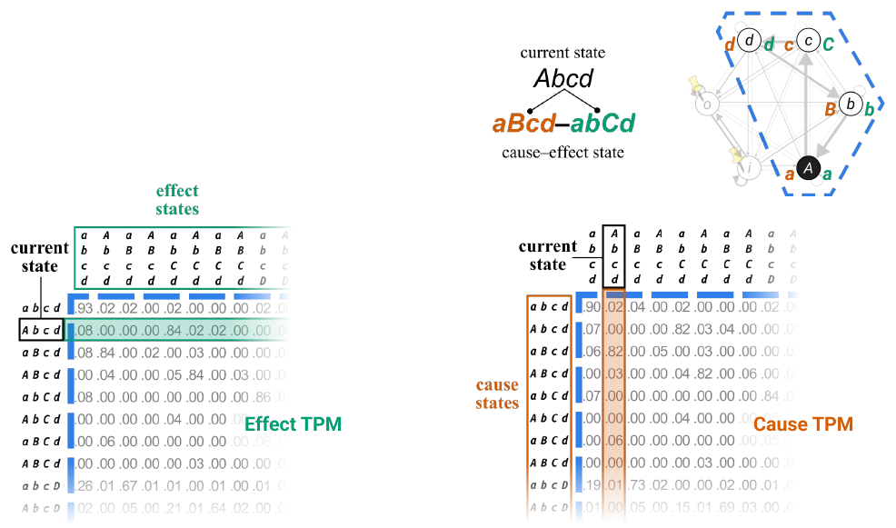 Slide 3: the cause–effect state, beside the effect TPM with its current-state row highlighted and the cause TPM with its current-state column highlighted