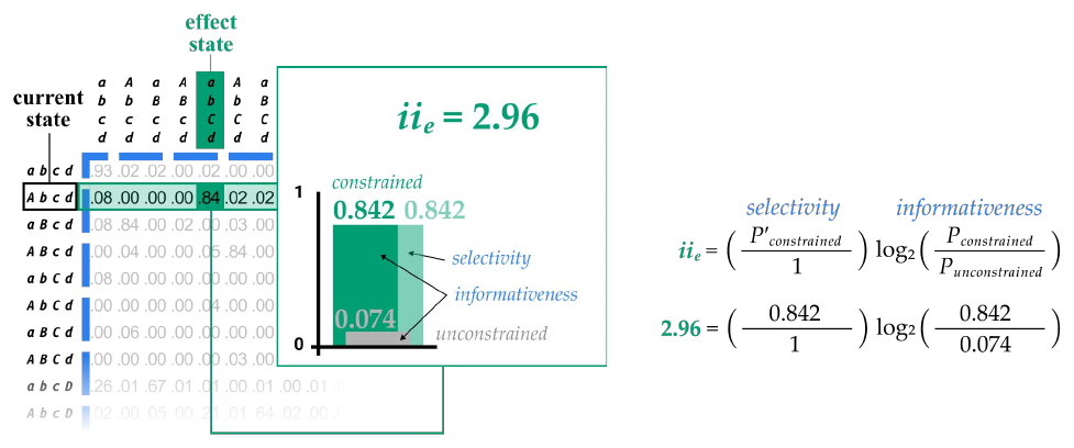 Slide 14: the effect-side bar chart with selectivity and informativeness, and the calculation giving iie = 2.96