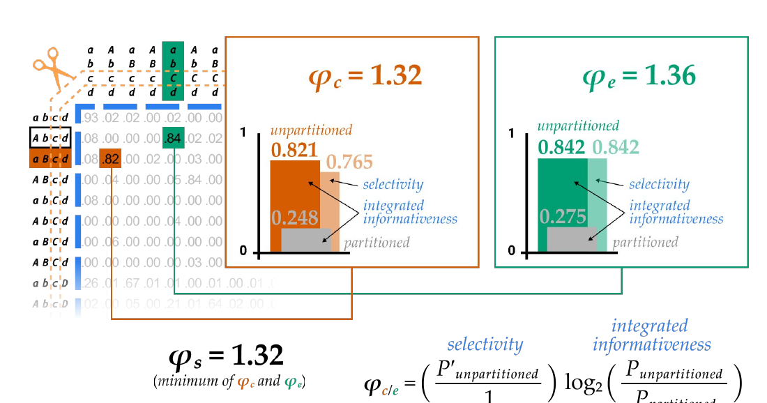 Slide 1: the partitioned effect TPM, bar charts for φc = 1.32 and φe = 1.36, φs = 1.32, and the formula for φ