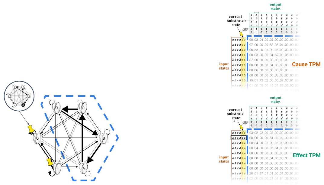 Slide 13: the substrate graph with the current state inset, beside the cause TPM and effect TPM with the current substrate state boxed