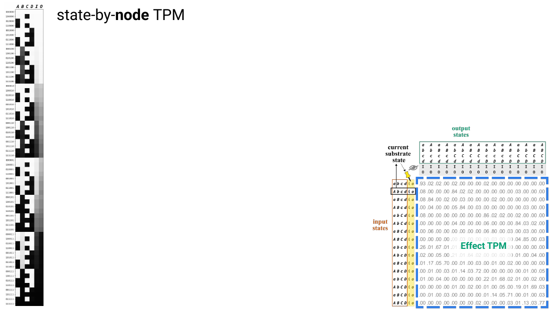 Slide 20: the state-by-node TPM drawn as a heat map, beside the effect TPM