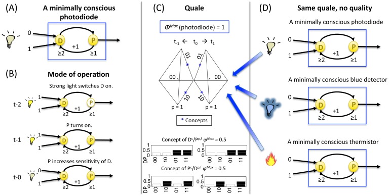Figure 30